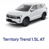 TERRITORY TREND